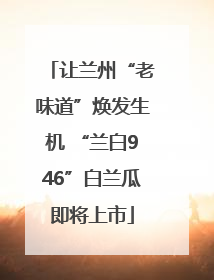 让兰州“老味道”焕发生机 “兰白946”白兰瓜即将上市