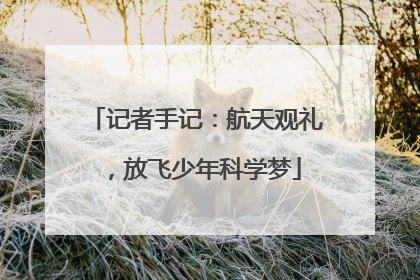 记者手记：航天观礼，放飞少年科学梦