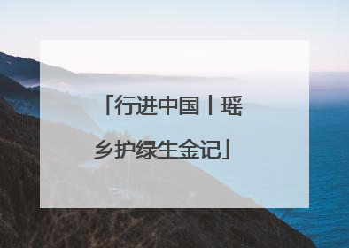 行进中国丨瑶乡护绿生金记