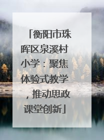 衡阳市珠晖区泉溪村小学：聚焦体验式教学，推动思政课堂创新