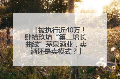 被执行近40万！肆拾玖坊“第二增长曲线”茅泉酒业，卖酒还是卖模式？