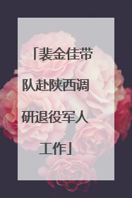 裴金佳带队赴陕西调研退役军人工作