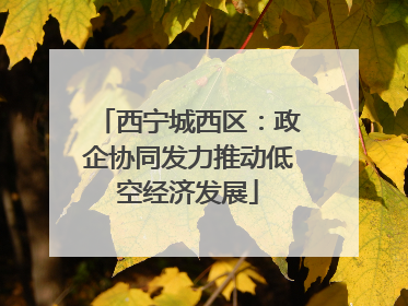 西宁城西区：政企协同发力推动低空经济发展