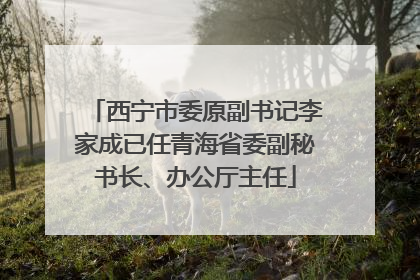 西宁市委原副书记李家成已任青海省委副秘书长、办公厅主任