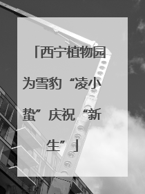 西宁植物园为雪豹“凌小蛰”庆祝“新生”