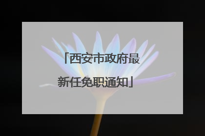 西安市政府最新任免职通知