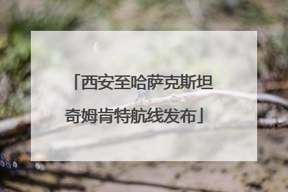 西安至哈萨克斯坦奇姆肯特航线发布