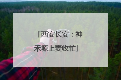 西安长安：神禾塬上麦收忙