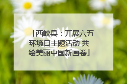 西峡县：开展六五环境日主题活动 共绘美丽中国新画卷