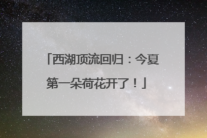 西湖顶流回归：今夏第一朵荷花开了！