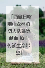 西藏日喀则市森林消防大队紧急献血 热血传递生命希望