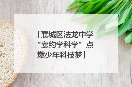襄城区法龙中学“襄约学科学”点燃少年科技梦