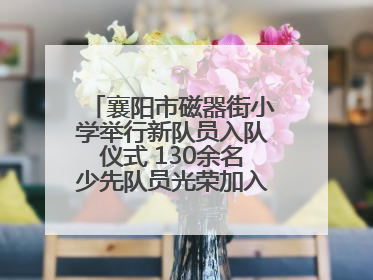 襄阳市磁器街小学举行新队员入队仪式 130余名少先队员光荣加入中国少年先锋队