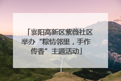 襄阳高新区紫薇社区举办“粽情邻里，手作传香”主题活动