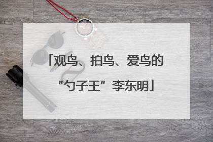 观鸟、拍鸟、爱鸟的“勺子王”李东明