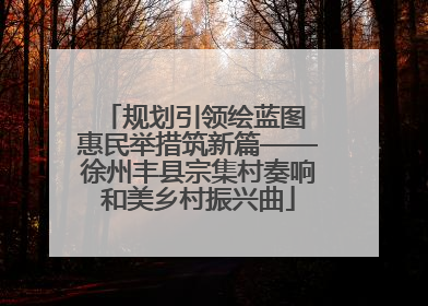 规划引领绘蓝图 惠民举措筑新篇——徐州丰县宗集村奏响和美乡村振兴曲