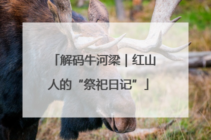 解码牛河梁｜红山人的“祭祀日记”