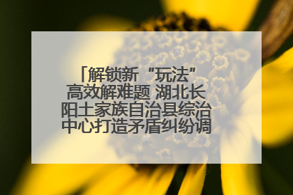 解锁新“玩法” 高效解难题 湖北长阳土家族自治县综治中心打造矛盾纠纷调处“终点站”