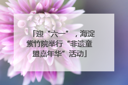 迎“六一”，海淀紫竹院举行“非遗童盟嘉年华”活动