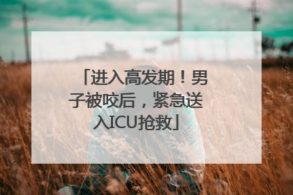 进入高发期！男子被咬后，紧急送入ICU抢救