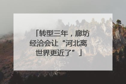 转型三年，廊坊经洽会让“河北离世界更近了”