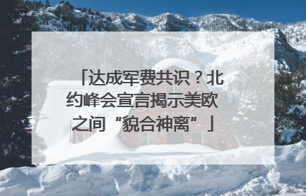 达成军费共识？北约峰会宣言揭示美欧之间“貌合神离”