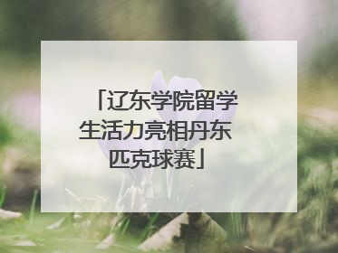 辽东学院留学生活力亮相丹东匹克球赛