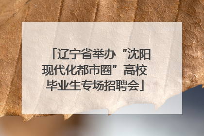 辽宁省举办“沈阳现代化都市圈”高校毕业生专场招聘会