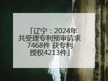 辽宁：2024年共受理专利预审请求7468件 获专利授权4213件