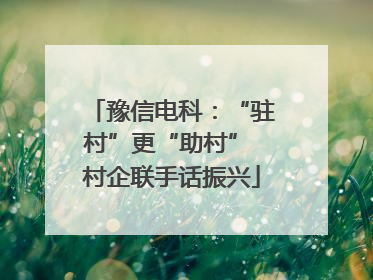 豫信电科：“驻村”更“助村” 村企联手话振兴