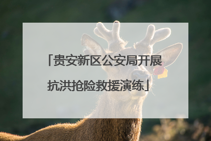 贵安新区公安局开展抗洪抢险救援演练