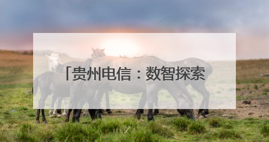 贵州电信：数智探索新路 科技智造农景