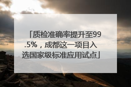 质检准确率提升至99.5%，成都这一项目入选国家级标准应用试点