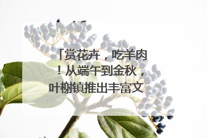 赏花卉，吃羊肉！从端午到金秋，叶榭镇推出丰富文旅活动邀您爽玩