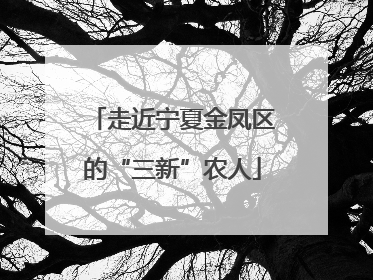 走近宁夏金凤区的“三新”农人