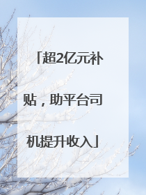 超2亿元补贴，助平台司机提升收入