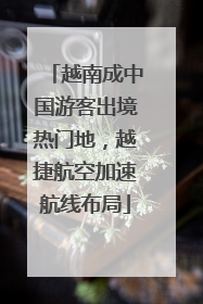 越南成中国游客出境热门地，越捷航空加速航线布局