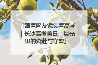 跟着网友镜头看高考｜长沙高考首日：晨光里的奔赴与守望