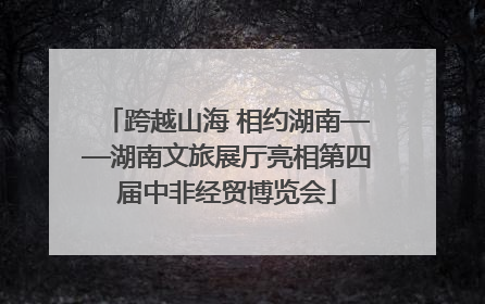 跨越山海 相约湖南——湖南文旅展厅亮相第四届中非经贸博览会