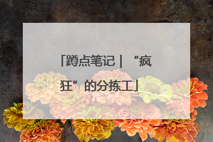 蹲点笔记｜“疯狂”的分拣工