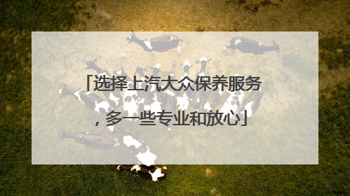 选择上汽大众保养服务，多一些专业和放心