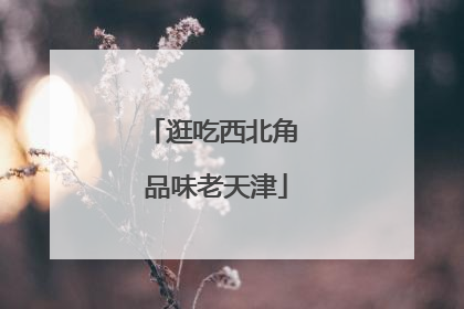 逛吃西北角 品味老天津