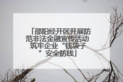 邵阳经开区开展防范非法金融宣传活动 筑牢企业“钱袋子”安全防线