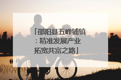 邵阳县五峰铺镇：精准发展产业 拓宽共富之路