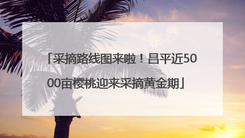 采摘路线图来啦！昌平近5000亩樱桃迎来采摘黄金期
