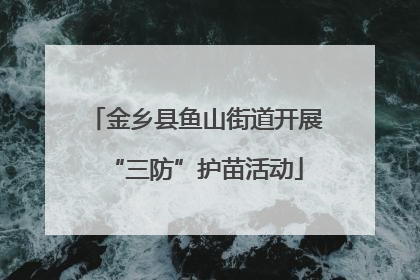 金乡县鱼山街道开展“三防”护苗活动