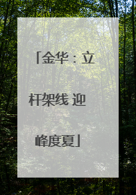 金华：立杆架线 迎峰度夏