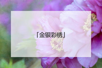 金银彩绣