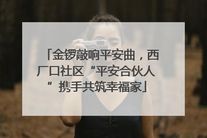 金锣敲响平安曲，西厂口社区“平安合伙人”携手共筑幸福家