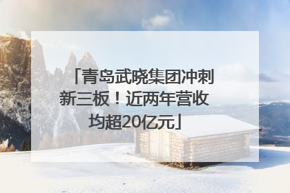 青岛武晓集团冲刺新三板！近两年营收均超20亿元